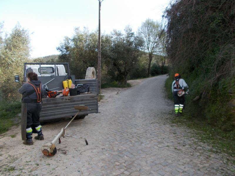 Corte de Ervas na freguesia